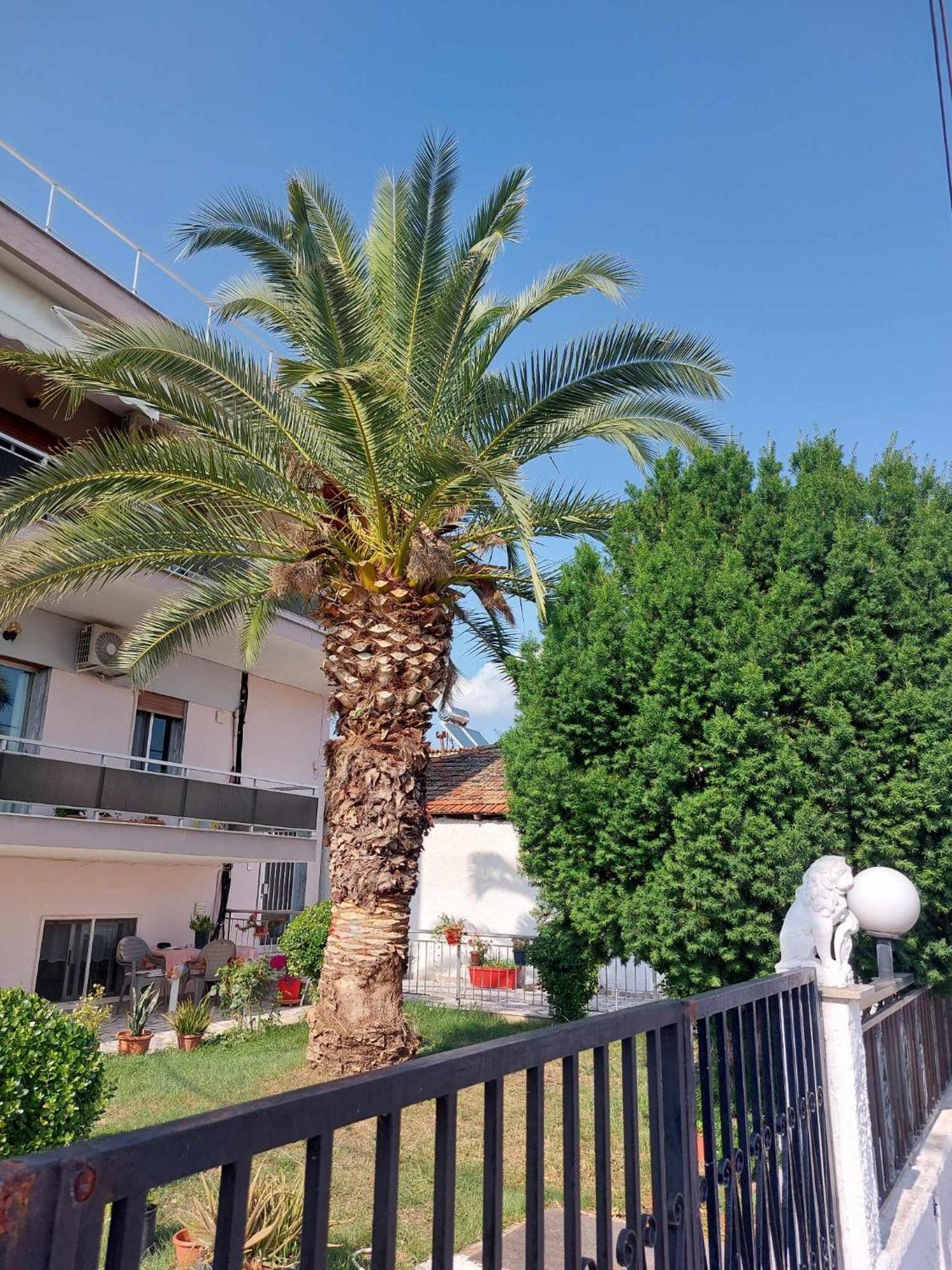Studio Με Όλες Τις Ανέσεις Vétrina Exterior photo